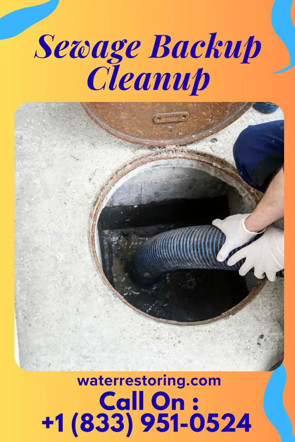 Sewage Backup Cleanup in Olivette, MO